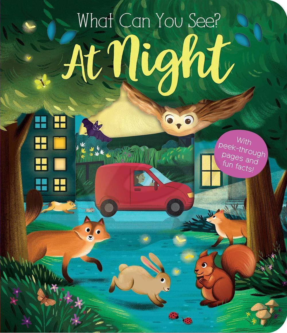 What Can You See?: At Night