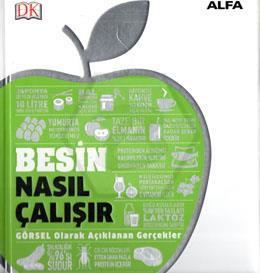 Besin Nasıl Çalışır?