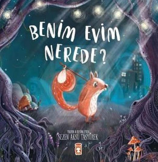 Benim Evim Nerede
