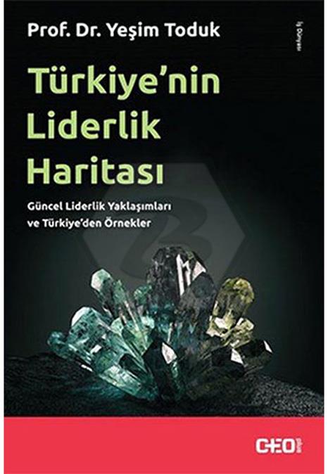 Türkiyenin Liderlik Haritası