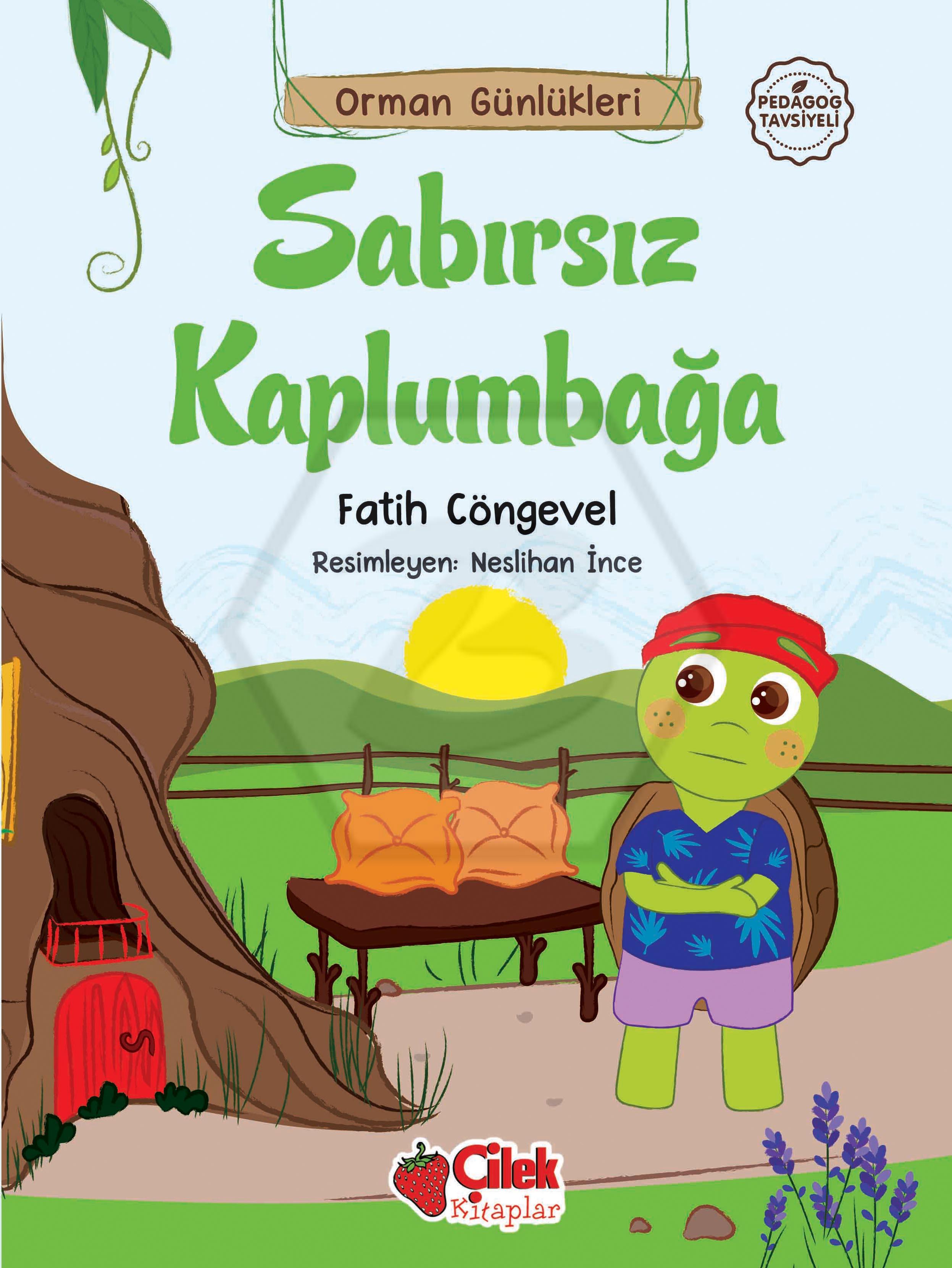 Sabırsız Kaplumbağa-4