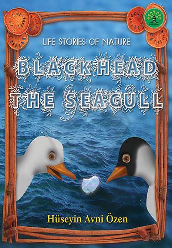 Black Head The Seagul
