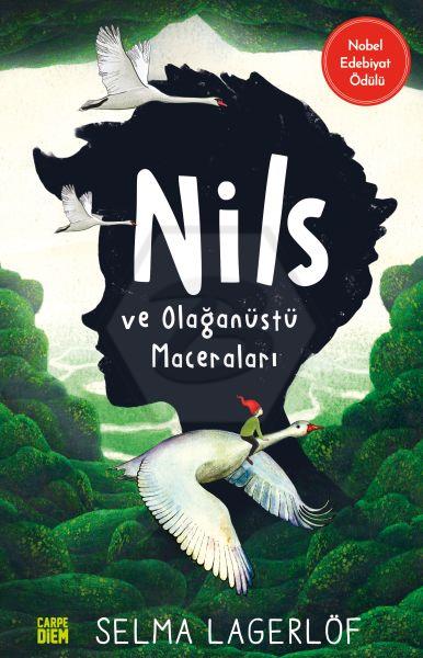 Nils ve Olağanüstü Maceraları