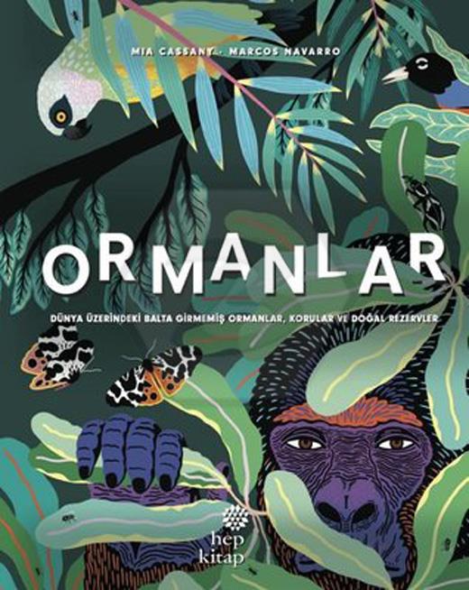 Ormanlar - Dünya Üzerindeki Balta Girmemiş Ormanlar. Korular ve Doğal Rezervler