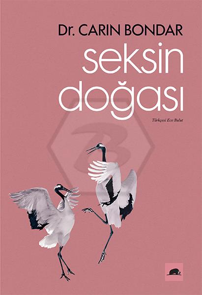 Seksin Doğası