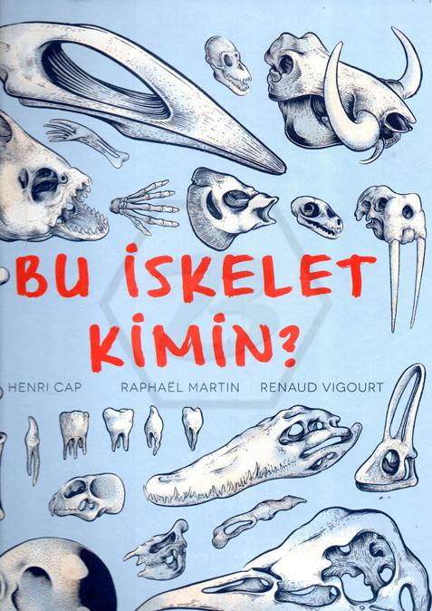Bu İskelet Kimin ?