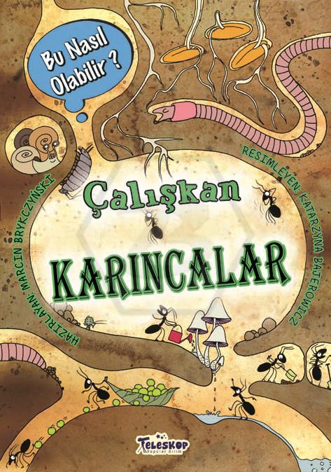 Çalışkan Karıncalar