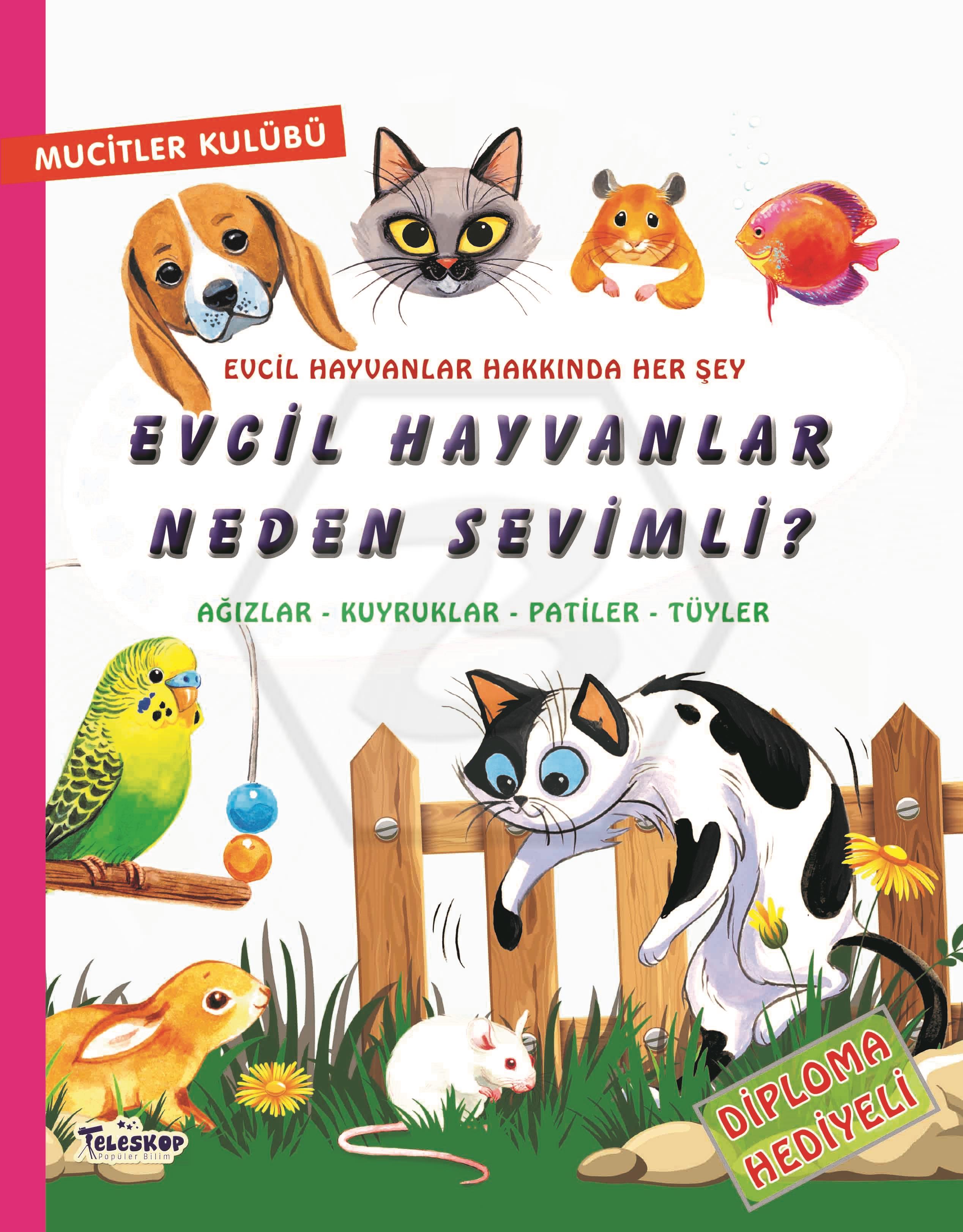 Mucitler Kulubü - Evcil Hayvanlar Neden Sevimli ?