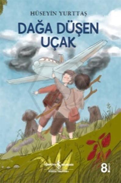 Dağa Düşen Uçak