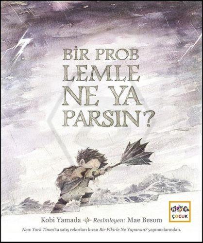 Bir Problemle Ne Yaparsın?