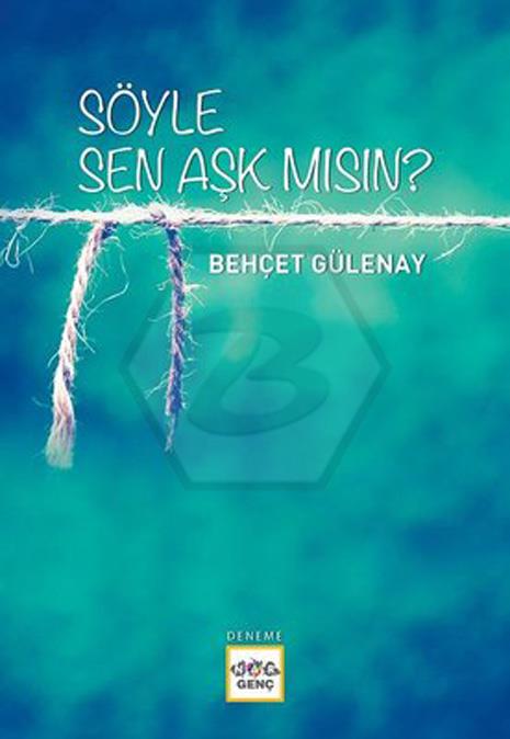 Söyle Sen Aşk Mısın?