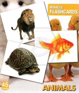 Miracle Flashcards Animals 
