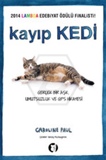 Kayıp Kedi