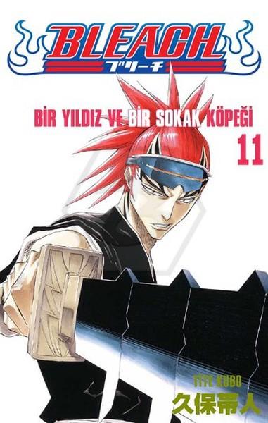 Bleach 11