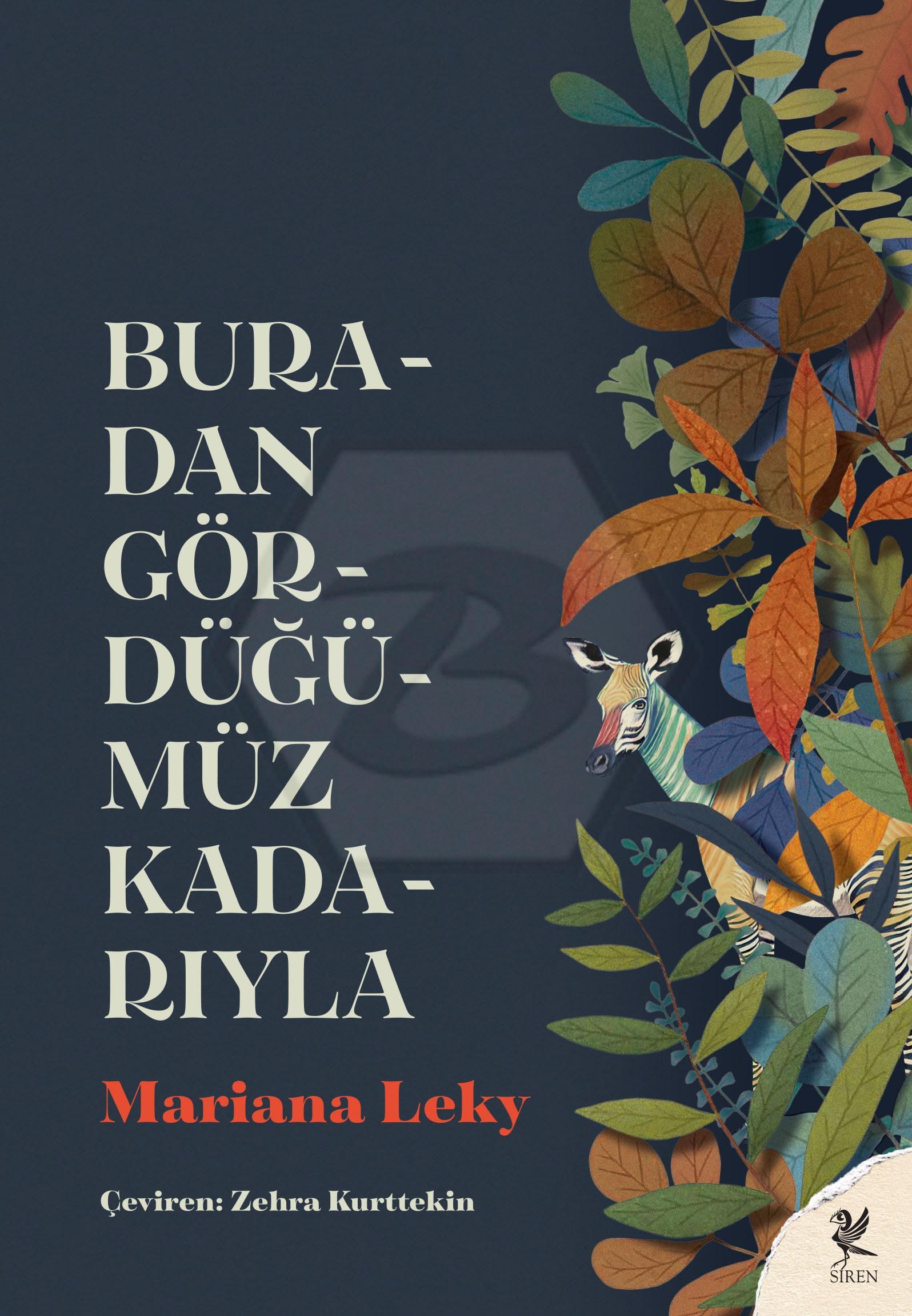Buradan Gördüğümüz Kadarıyla