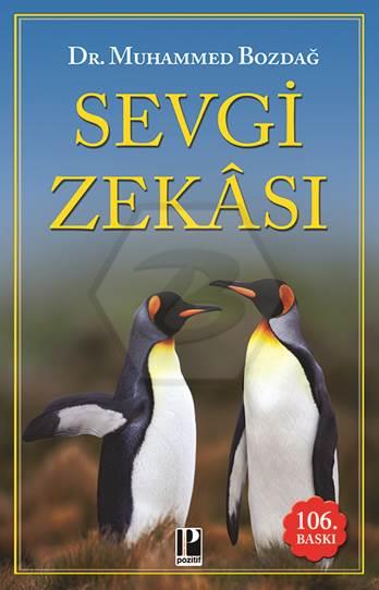 Sevgi Zekası