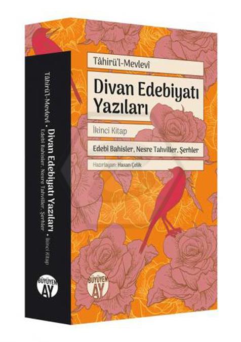 Divan Edebiyatı Yazıları 2