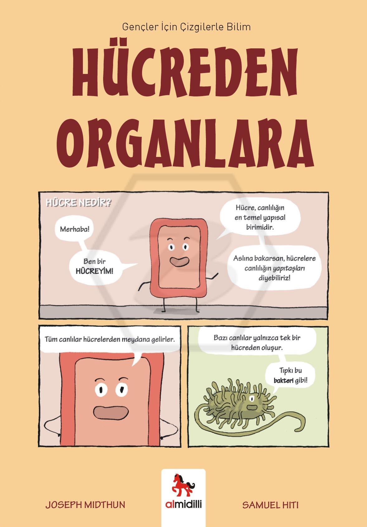 Hücreden Organlara – Gençler İçin Çizgilerle Bilim