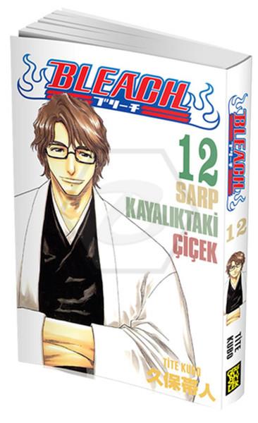 Bleach 12