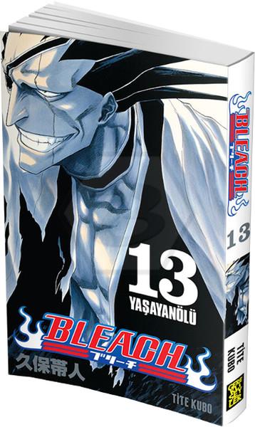 Bleach 13