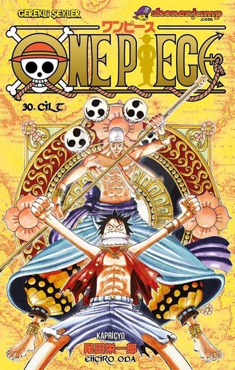 One Piece 30