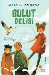 Bulut Delisi