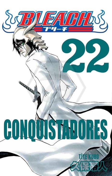 Bleach 22