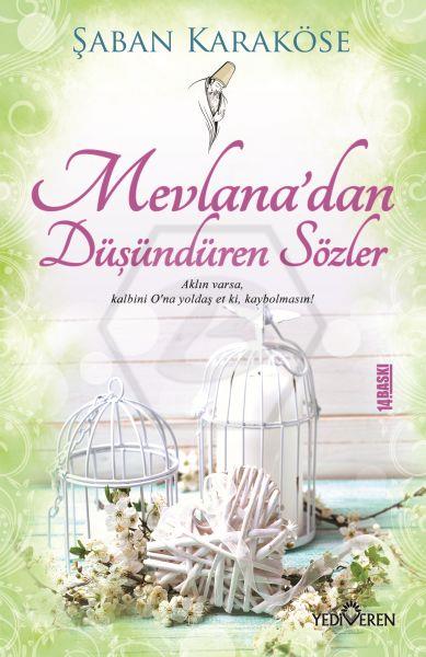 Mevlanadan Düşündüren Sözler