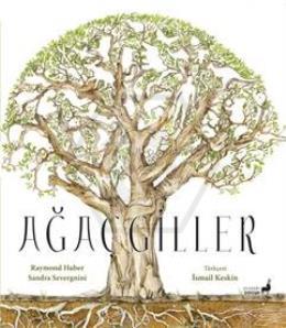 Ağaçgiller