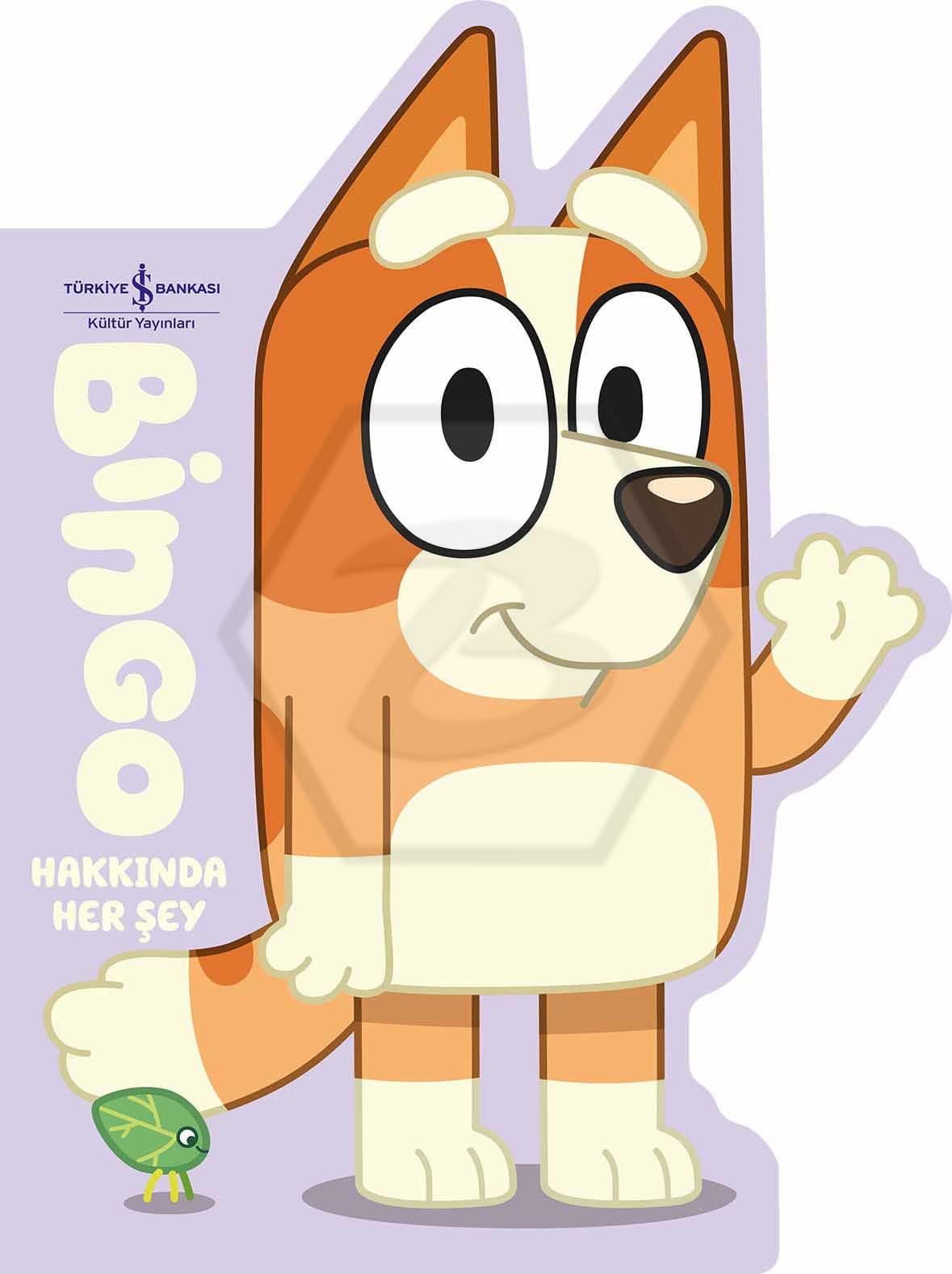 Bingo Hakkında Her Şey (Sert Kapak)