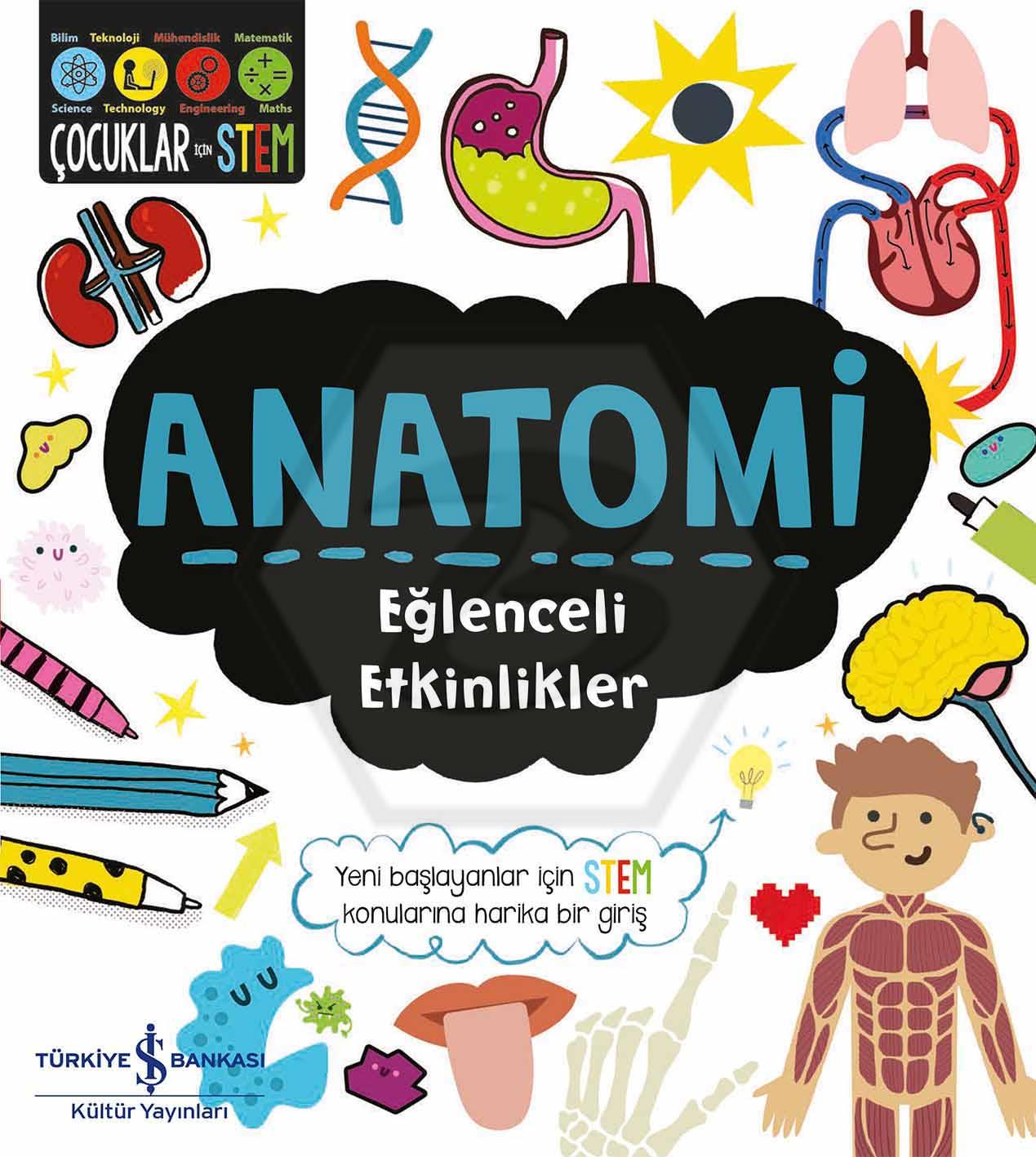Anatomi – Eğlenceli Etkinlikler