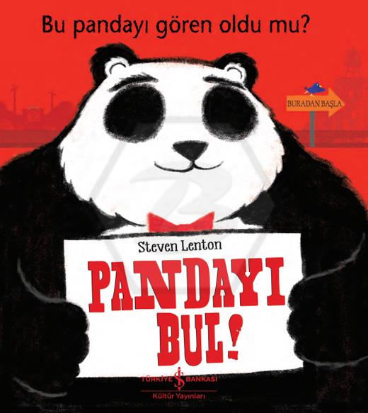 Pandayı Bul
