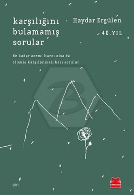 Karşılığını Bulamamış Sorular