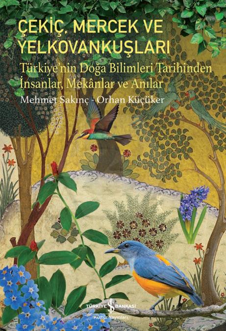 Çekiç.Mercek Ve Yelkovankuşları