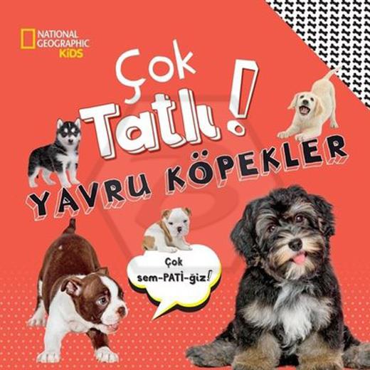 Çok Tatlı Yavru Köpekler