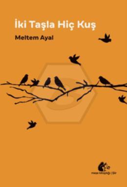 İki Taşla Hiç Kuş