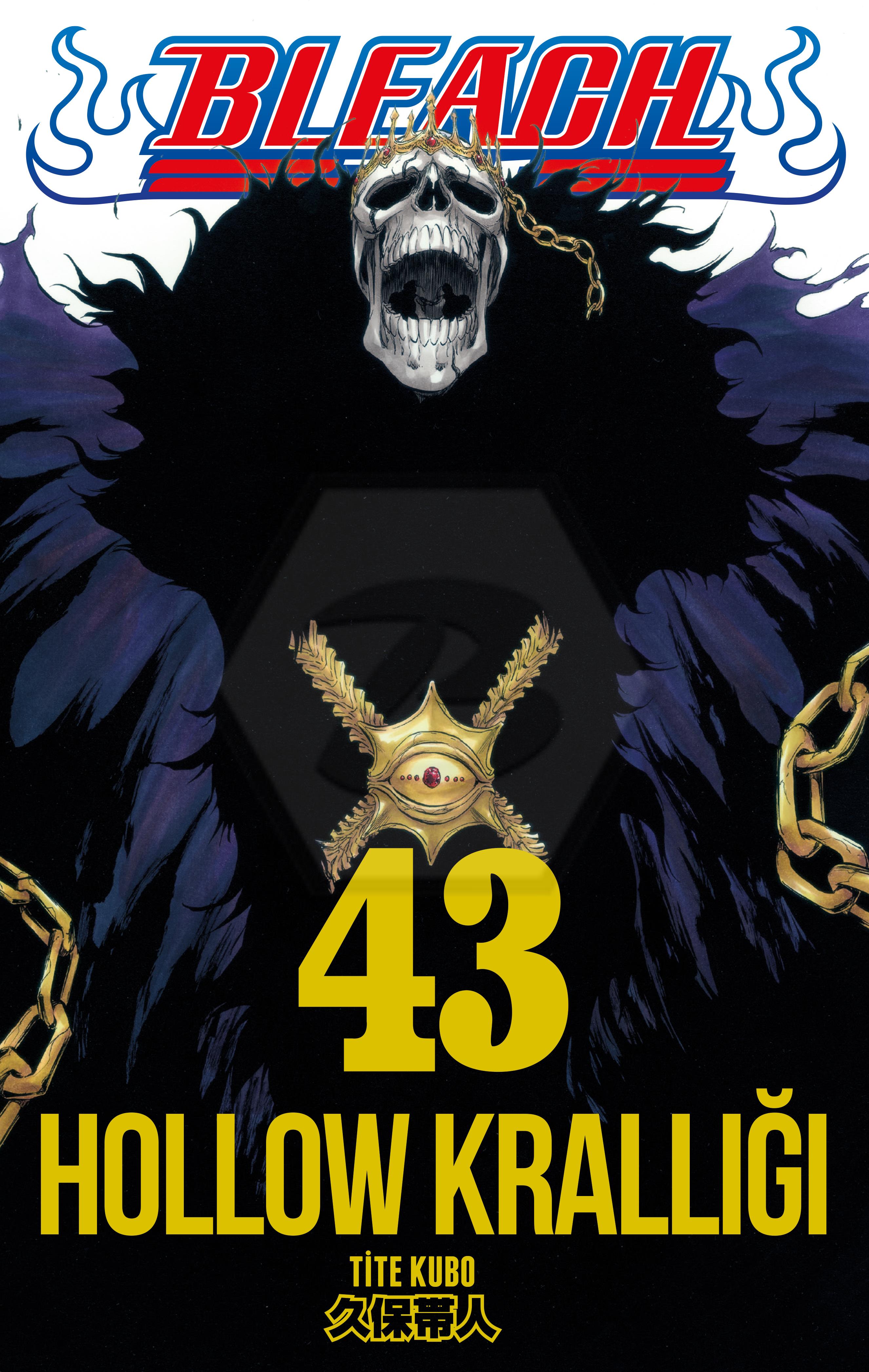 Bleach 43