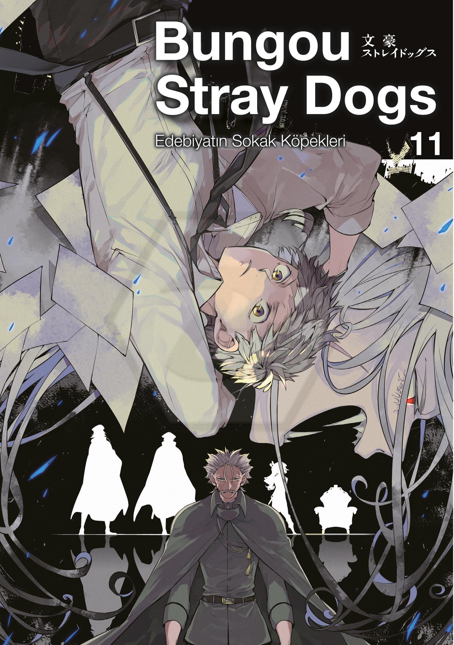 Bungou Stray Dogs 11