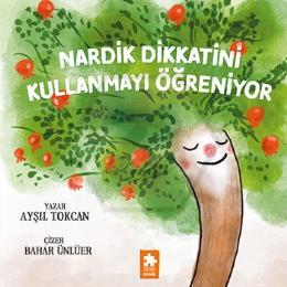 Nardik Dikkatini Kullanmayı Öğreniyor