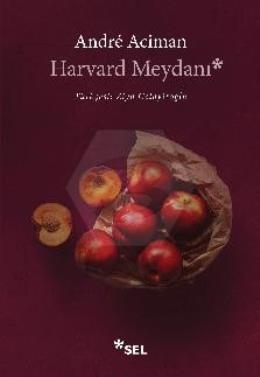 Harvard Meydanı