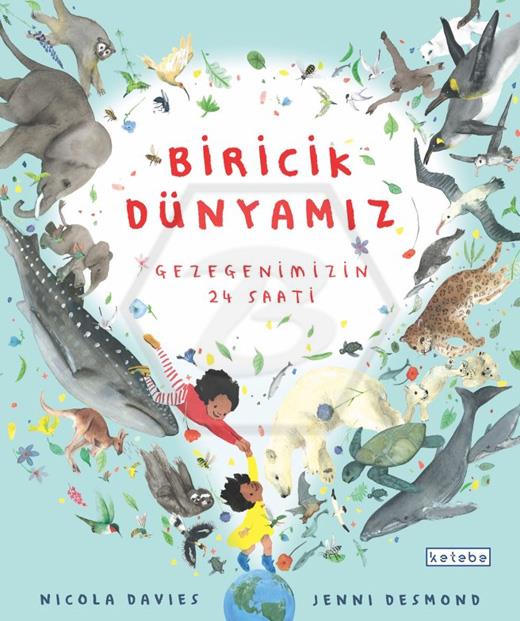 Biricik Dünya’mız;Gezegenimizin 24 Saati