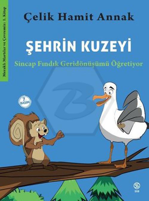 Şehrin Kuzeyi