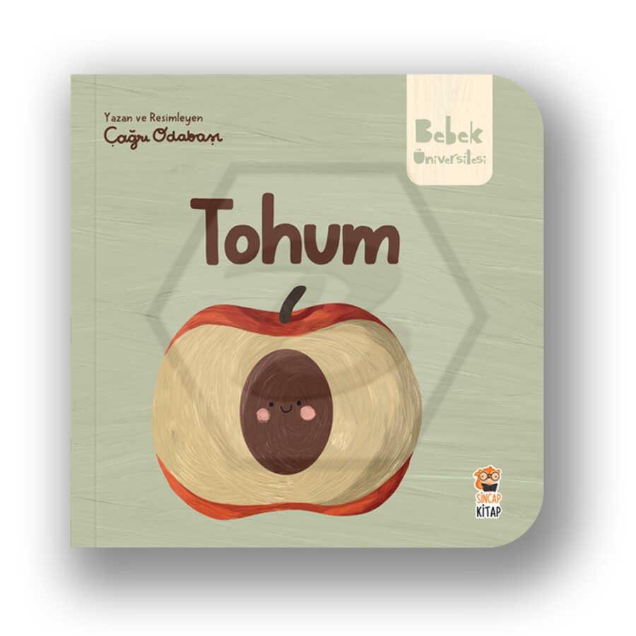 Bebek Üniversitesi - Tohum