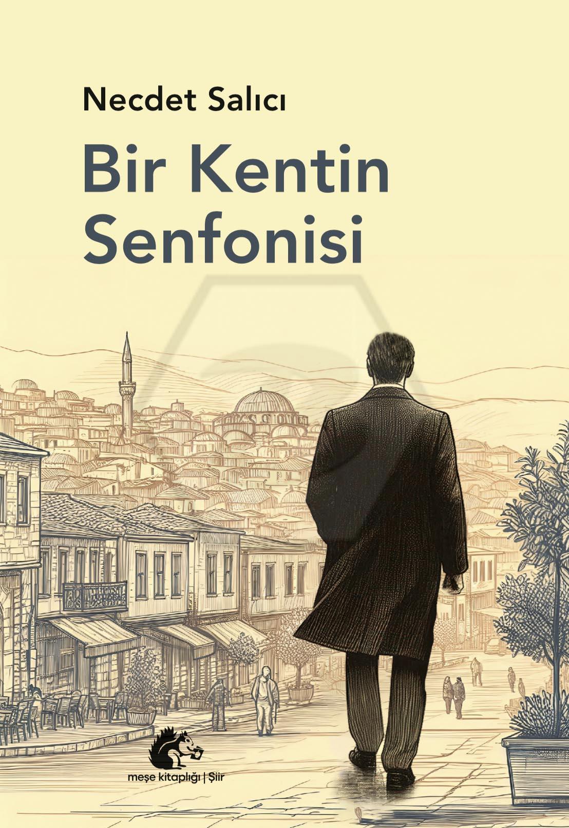 Bir Kentin Senfonisi