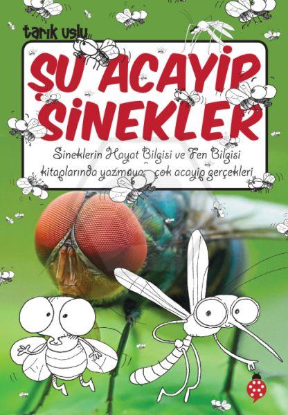 Şu Acayip Sinekler
