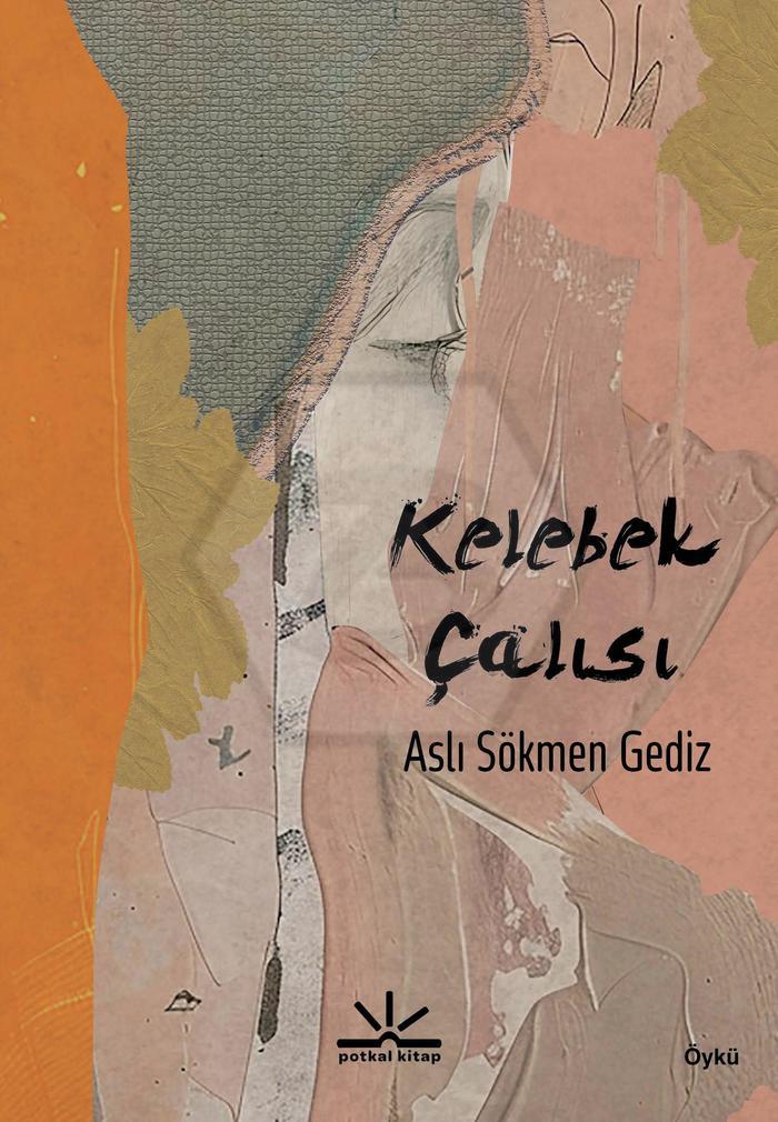 Kelebek Çalısı