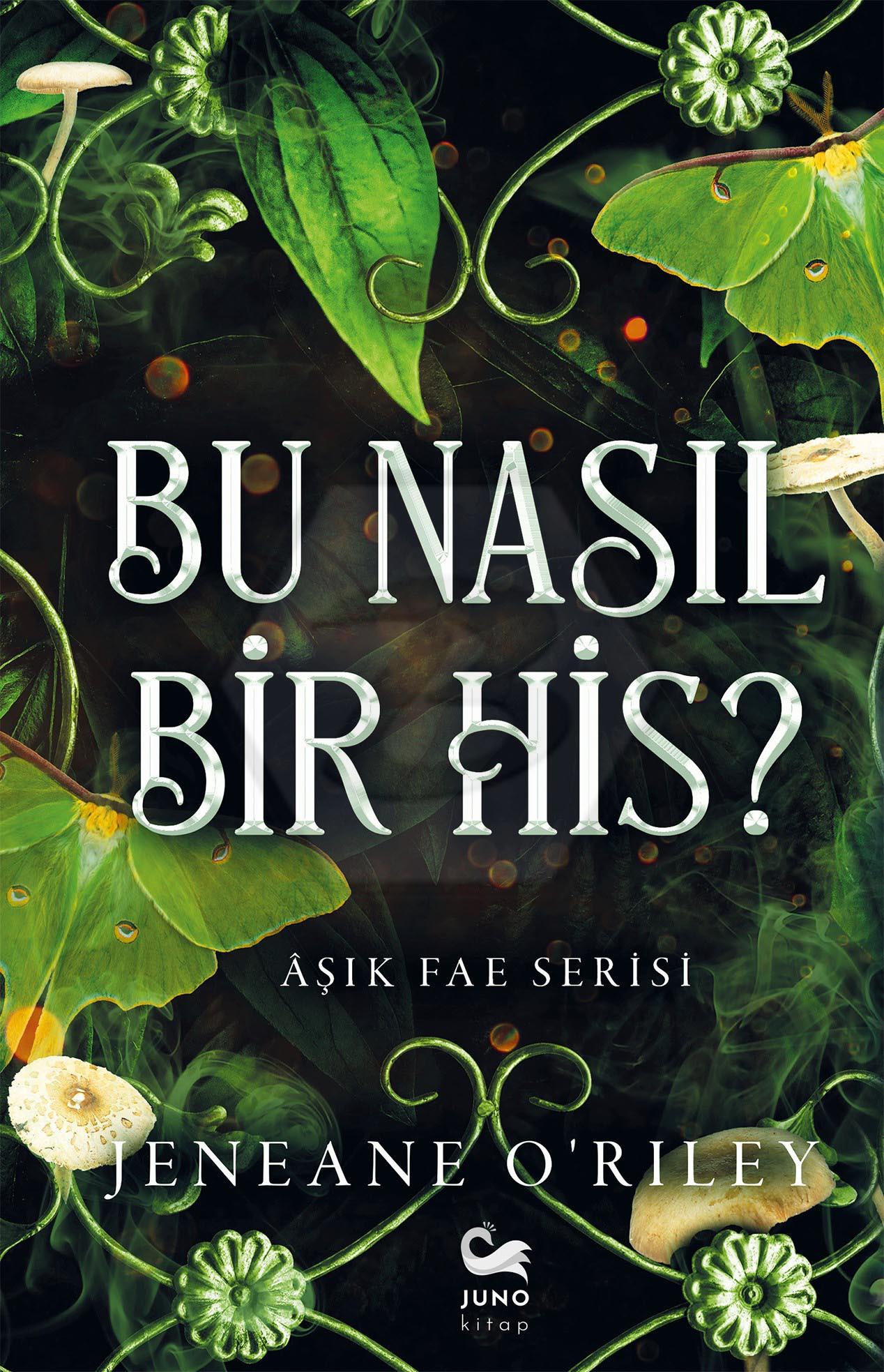 Bu Nasıl Bir His ?