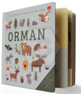 Say Bul Eğlen Orman Ciltli