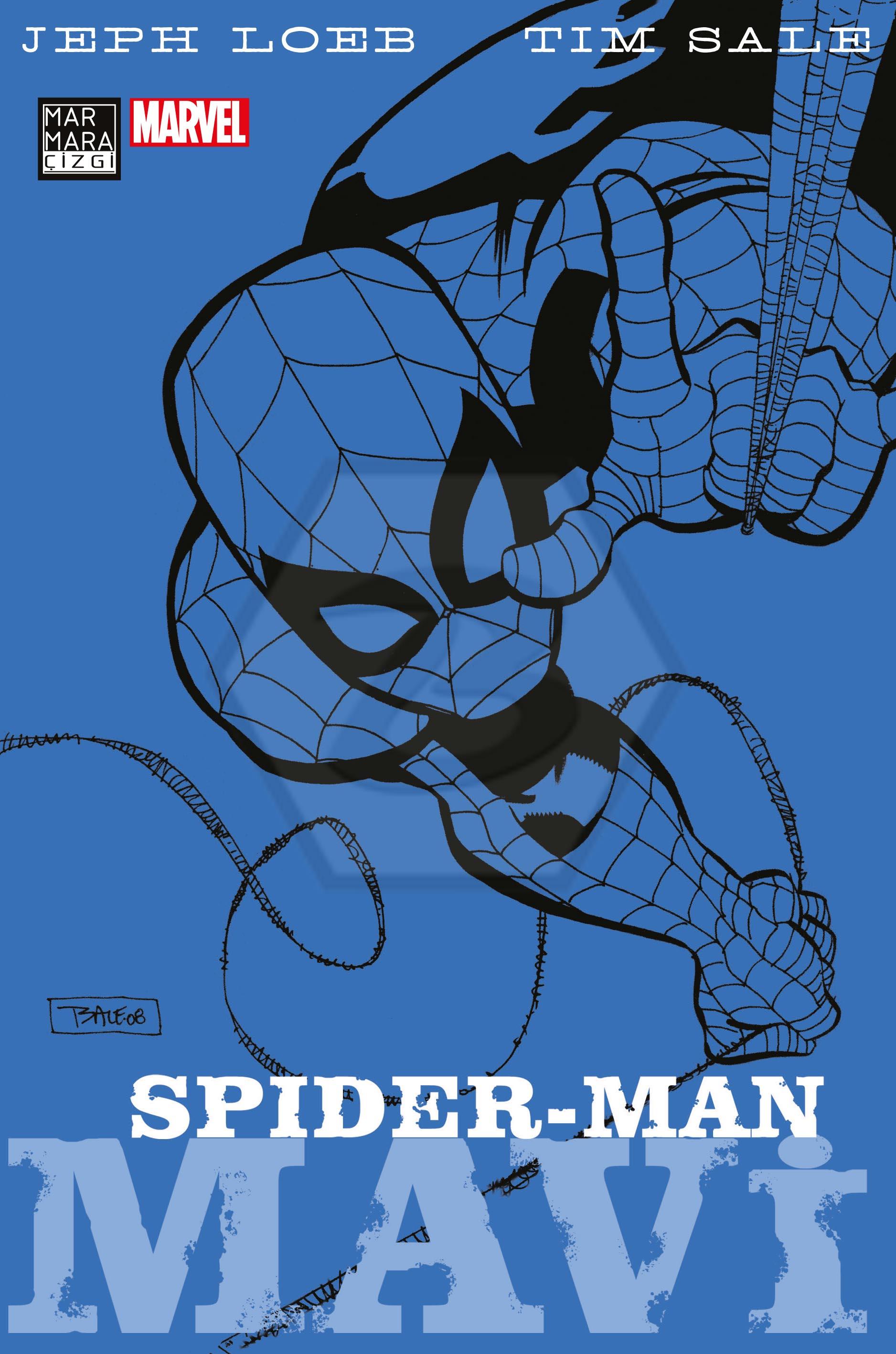 Renkler Serisi: Spider-Man - Mavi