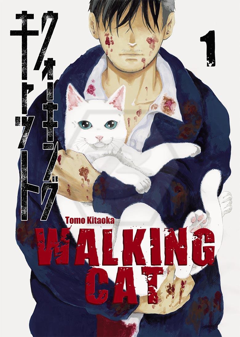 Walking Cat 1